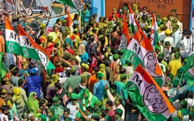 লে হালুয়া! হাইকোর্ট ধরে নিল দুনম্বরি! কড়া শাস্তি আসছে বুঝেই ময়দান ছেড়ে পালাল হেভিওয়েট তৃণমূল নেত্রী