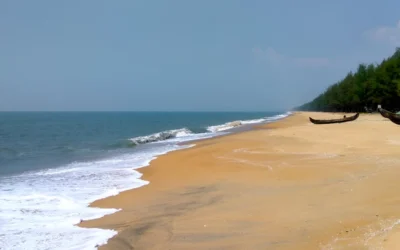 সাবধান! সমুদ্রে নামলেই দেখা মিলতে পারে সাক্ষাৎ মৃত্যুর! কেন এমন ভয়ঙ্কর নির্দেশ সরকারের?